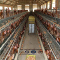 battery chicken cage, layers chicken cage for Kenya poultry farm equipment